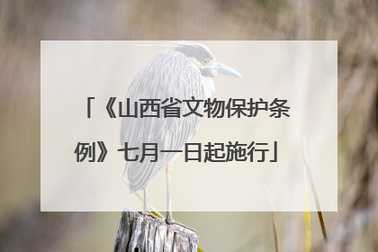 《山西省文物保护条例》七月一日起施行