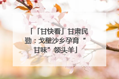 「甘快看」甘肃民勤：戈壁沙乡孕育“甘味”领头羊