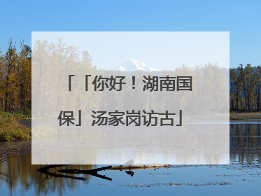 「你好！湖南国保」汤家岗访古