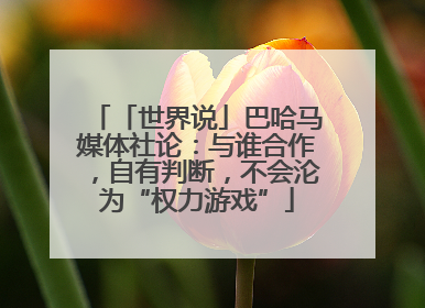 「世界说」巴哈马媒体社论：与谁合作，自有判断，不会沦为“权力游戏”