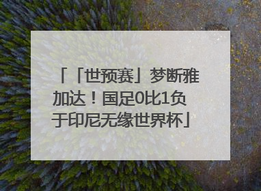 「世预赛」梦断雅加达！国足0比1负于印尼无缘世界杯