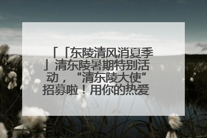 「东陵清风消夏季」清东陵暑期特别活动，“清东陵大使”招募啦！用你的热爱守护世界遗产！