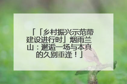 「乡村振兴示范带建设进行时」烟雨兰山：邂逅一场与本真的久别重逢！