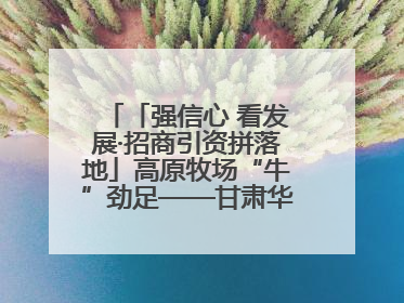 「强信心 看发展·招商引资拼落地」高原牧场“牛”劲足——甘肃华予高原牧场高标准奶牛肉牛养殖项目一线见闻