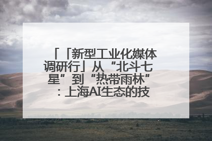 「新型工业化媒体调研行」从“北斗七星”到“热带雨林”：上海AI生态的技术商业共生密码