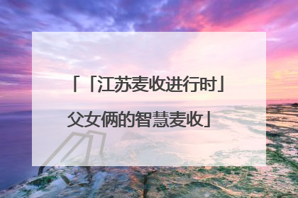 「江苏麦收进行时」父女俩的智慧麦收