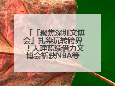 「聚焦深圳文博会」扎染玩转跨界！大理蓝续借力文博会斩获NBA等联名大单
