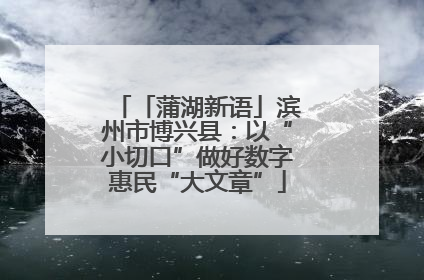 「蒲湖新语」滨州市博兴县：以“小切口”做好数字惠民“大文章”