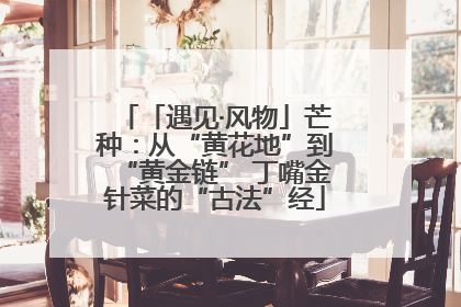 「遇见·风物」芒种：从“黄花地”到“黄金链” 丁嘴金针菜的“古法”经