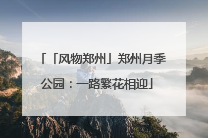 「风物郑州」郑州月季公园：一路繁花相迎