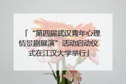 “第四届武汉青年心理情景剧展演”活动启动仪式在江汉大学举行