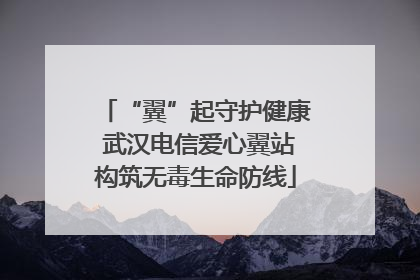 “翼”起守护健康 武汉电信爱心翼站构筑无毒生命防线