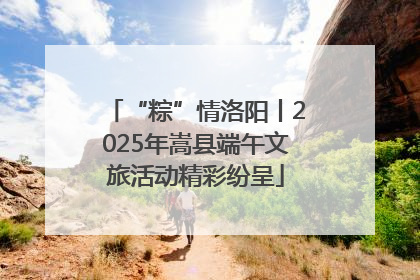 “粽”情洛阳丨2025年嵩县端午文旅活动精彩纷呈