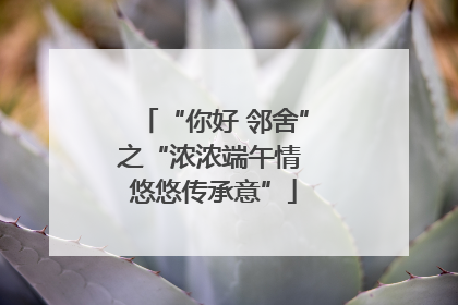 “你好 邻舍”之“浓浓端午情 悠悠传承意”