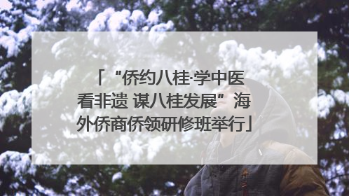 “侨约八桂·学中医 看非遗 谋八桂发展”海外侨商侨领研修班举行