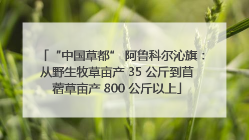 “中国草都” 阿鲁科尔沁旗：从野生牧草亩产 35 公斤到苜蓿草亩产 800 公斤以上
