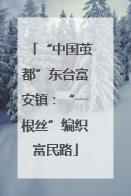 “中国茧都”东台富安镇：“一根丝”编织富民路