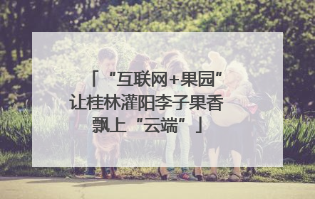 “互联网+果园”让桂林灌阳李子果香飘上“云端”