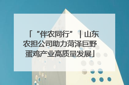 “伴农同行”｜山东农担公司助力菏泽巨野蛋鸡产业高质量发展