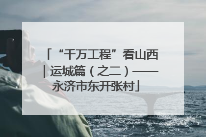 “千万工程”看山西｜运城篇（之二）——永济市东开张村