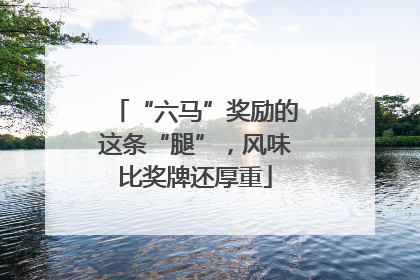 “六马”奖励的这条“腿”，风味比奖牌还厚重