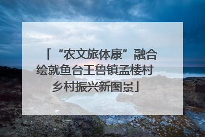 “农文旅体康”融合绘就鱼台王鲁镇孟楼村乡村振兴新图景