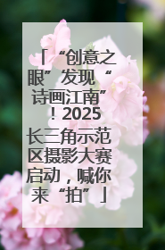 “创意之眼”发现“诗画江南”！2025长三角示范区摄影大赛启动，喊你来“拍”