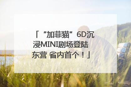 “加菲猫”6D沉浸MINI剧场登陆东营 省内首个！