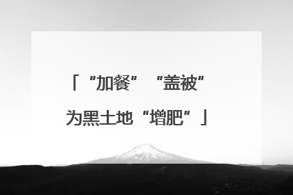 “加餐”“盖被” 为黑土地“增肥”
