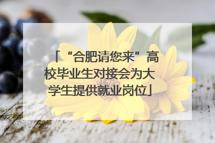 “合肥请您来”高校毕业生对接会为大学生提供就业岗位