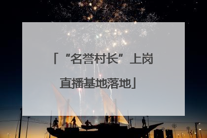 “名誉村长”上岗 直播基地落地