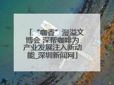 “咖香”漫溢文博会 深帮咖啡为产业发展注入新动能_深圳新闻网