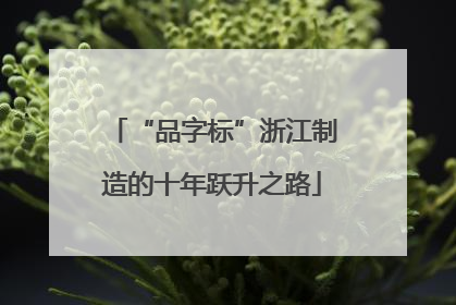 “品字标”浙江制造的十年跃升之路