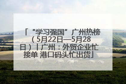 “学习强国”广州热榜（5月22日—5月28日）丨广州：外贸企业忙接单 港口码头忙出货