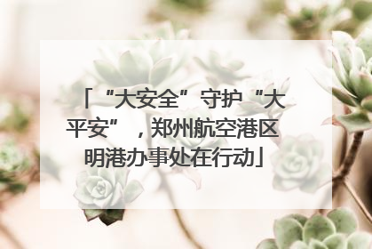“大安全”守护“大平安”，郑州航空港区明港办事处在行动