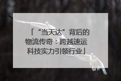 “当天达”背后的物流传奇：跨越速运科技实力引领行业