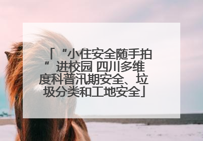 “小住安全随手拍”进校园 四川多维度科普汛期安全、垃圾分类和工地安全