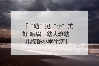 “幼”见“小”美好 峨眉三幼大班幼儿探秘小学生活