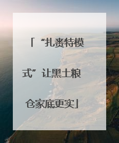 “扎赉特模式”让黑土粮仓家底更实