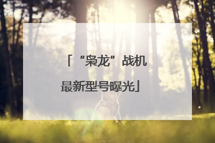 “枭龙”战机最新型号曝光