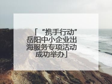 “携手行动”岳阳中小企业出海服务专项活动成功举办