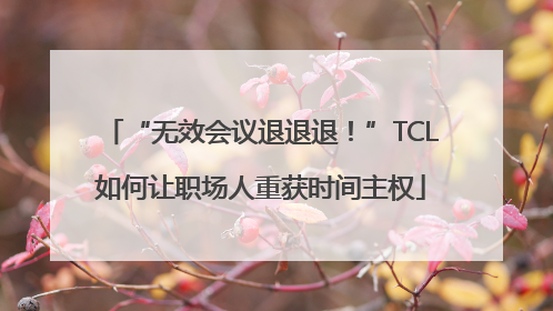 “无效会议退退退！”TCL如何让职场人重获时间主权