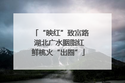 “映红”致富路 湖北广水胭脂红鲜桃火“出圈”