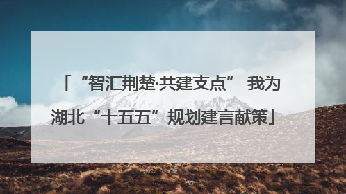 “智汇荆楚·共建支点” 我为湖北“十五五”规划建言献策