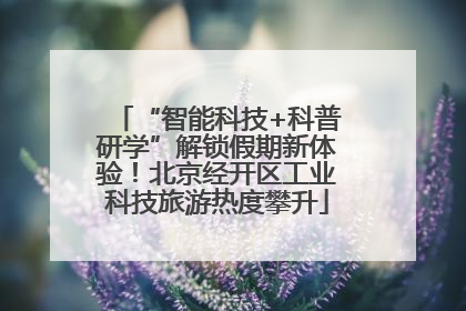 “智能科技+科普研学”解锁假期新体验！北京经开区工业科技旅游热度攀升