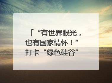 “有世界眼光，也有国家情怀！”打卡“绿色硅谷”，博主新解乐山｜网络名人四川行