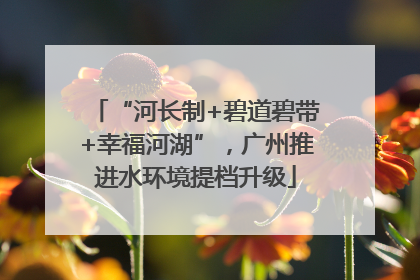 “河长制+碧道碧带+幸福河湖”，广州推进水环境提档升级
