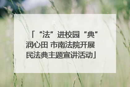 “法”进校园“典”润心田 市南法院开展民法典主题宣讲活动
