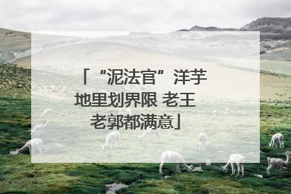 “泥法官”洋芋地里划界限 老王老郭都满意