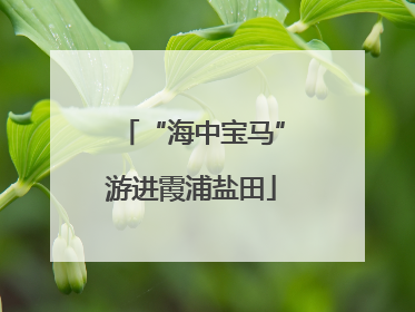 “海中宝马”游进霞浦盐田